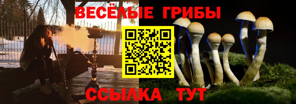 Галлюциногенные грибы Magic Shrooms  Галлюциногенные грибы MAGIC MUSHROOMS  Вход с VPN  Коркино 